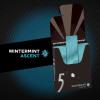 5 Gum Spearmint Rain Sugar Free Chewing Gum Bulk, 15 Stick Box (Pack of 10)(Wintermint Ascent)
