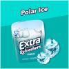 EXTRA Gum Refreshers Spearmint Bulk Chewing Gum – Sugar-Free, 40 Piece Resealable Bottle Pack of 4(Polar Ice)
