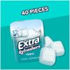 EXTRA Gum Refreshers Spearmint Bulk Chewing Gum – Sugar-Free, 40 Piece Resealable Bottle Pack of 4(Polar Ice)