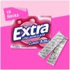 EXTRA Polar Ice Chewing Gum Packs, Sugar Free Gum in Bulk for Fresh Breath, 15 Sticks(Classic Bubble)