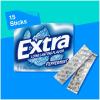EXTRA Polar Ice Chewing Gum Packs, Sugar Free Gum in Bulk for Fresh Breath, 15 Sticks(Peppermint)