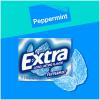 EXTRA Polar Ice Chewing Gum Packs, Sugar Free Gum in Bulk for Fresh Breath, 15 Sticks(Peppermint)