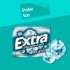 EXTRA Polar Ice Chewing Gum Packs, Sugar Free Gum in Bulk for Fresh Breath, 15 Sticks(Polar Ice)