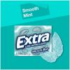 EXTRA Polar Ice Chewing Gum Packs, Sugar Free Gum in Bulk for Fresh Breath, 15 Sticks(Smooth Mint)