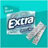EXTRA Polar Ice Chewing Gum Packs, Sugar Free Gum in Bulk for Fresh Breath, 15 Sticks(Smooth Mint)