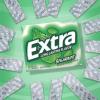 EXTRA Polar Ice Chewing Gum Packs, Sugar Free Gum in Bulk for Fresh Breath, 15 Sticks(Spearmint)