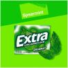 EXTRA Polar Ice Chewing Gum Packs, Sugar Free Gum in Bulk for Fresh Breath, 15 Sticks(Spearmint)