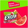 EXTRA Polar Ice Chewing Gum Packs, Sugar Free Gum in Bulk for Fresh Breath, 15 Sticks(Watermelon)