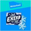 EXTRA Polar Ice Chewing Gum Packs, Sugar Free Gum in Bulk for Fresh Breath, 15 Sticks(Winterfresh)
