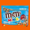 M&M’S MINIS Milk Chocolate Easter Candy Bag, Candy Assortment Family Size, 16.9 oz Resealable Bulk Chocolate Candy Bag(Milk Chocolate)
