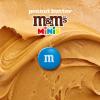 M&M’S Minis Peanut Butter Candy, Family Size, 15 Oz Bulk Resealable Bag (Pack of 2)(Full Size)