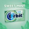 WRIGLEY’S ORBIT Gum Sugar-Free Spearmint – 12 Packs in Bulk, 14 Pieces Each – Chewing Gum, 168 Total Pieces(Sweet Mint)