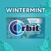 WRIGLEY’S ORBIT Gum Sugar-Free Spearmint – 12 Packs in Bulk, 14 Pieces Each – Chewing Gum, 168 Total Pieces(Wintermint)