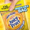JUICY FRUIT Gum – Original Bubble Gum Bulk Pack, 40-Piece Bottle (4 Pack)(Fruit)