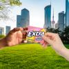 EXTRA Pink Lemonade Gum – Sugar Free Chewing Gum Bulk, 10 Packs per Inner, Total 150 Sticks