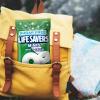 LIFE SAVERS Breath Mints Sugar Free Candy, Wint-O-Green Mint Hard Candy Bag for Goodie Bags, Road Trips, School, Work, 2.75 oz (Pack of 12)(Wint O Green)