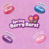 STARBURST Berry Burst Jellybean Easter Candy, Jelly Beans for Filling Eggs, Easter Basket Stuffers, 14 Ounce Bag(14 Ounce (Pack of 2))